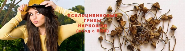 прущие крисы Аркадак