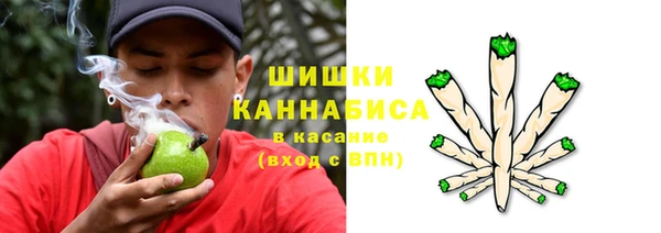 прущие крисы Аркадак