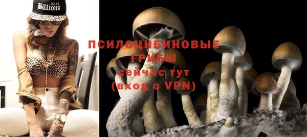 прущие крисы Аркадак